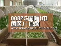 环境展示五