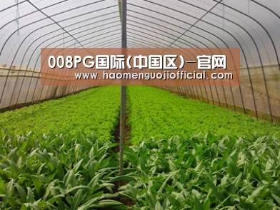 种植基地四