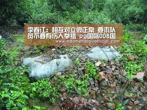 李春江:相互对立很正常 要求队员不要有伤人举措_pg国际008国际官网(图4) pg国际008国际官网